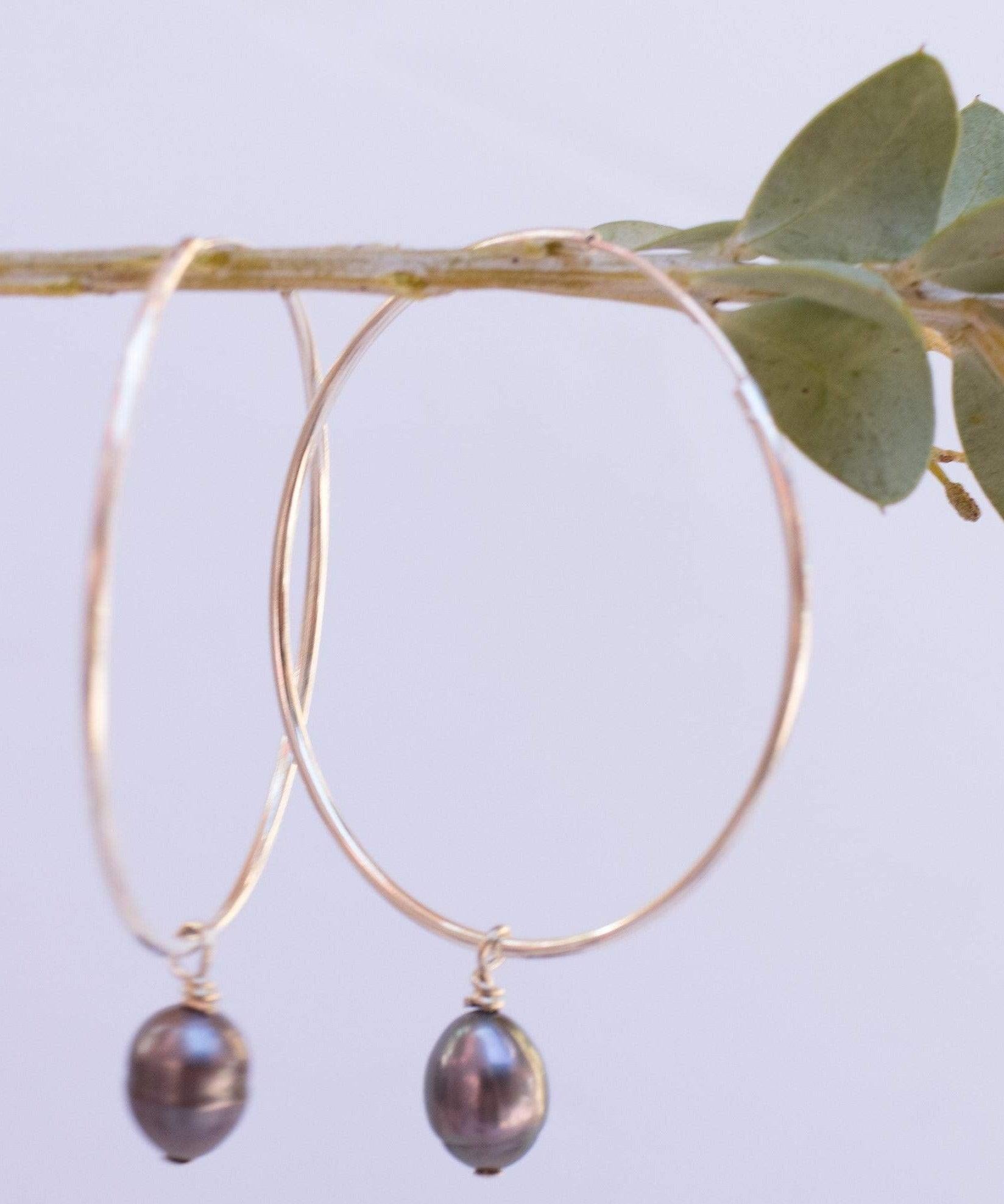 Black Pearl Hoop Earrings ~ Sterling Silver or 14k Gold Filled   ~ ME052 - Maresia Jewelry