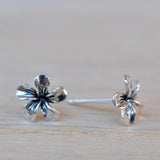 Flower Stud Earrings ~ Sterling Silver 925 ~ SME080 - Maresia Jewelry